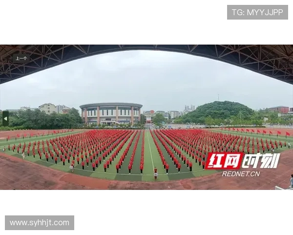 成都飞盘队的整体压制革新探索与实践全景解析