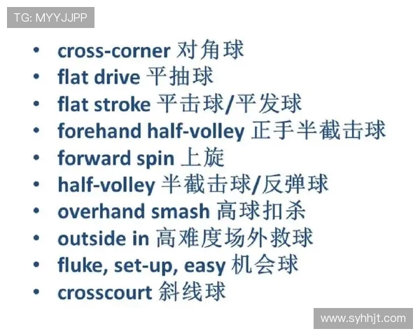 重庆网球队的整体压制策略深度解析与网球运动的未来发展探讨